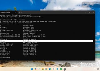 A Microsoft acaba de dar mais um abraço no Linux